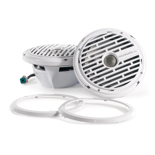 Roswell Marine R1 8" In Boat Speakers