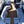 Nautique Super Air Nautique S23 - 2025