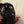 Tracker Pro Team 175 TXW - 2026