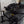 Tracker Targa V19 Combo - 2026