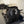 Sun Tracker Bass Buggy 18 DLX - 2026